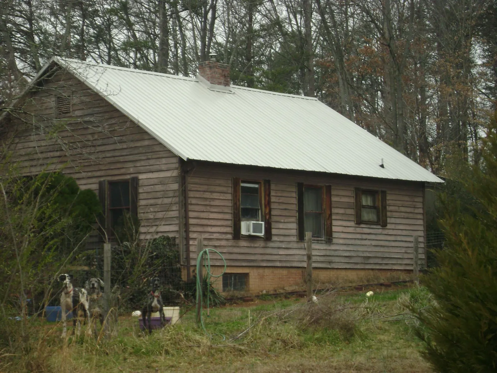 White metal roof on an old wood sided farmhouse, from a Asphalt Shingle Roof Repair job in Cook Springs